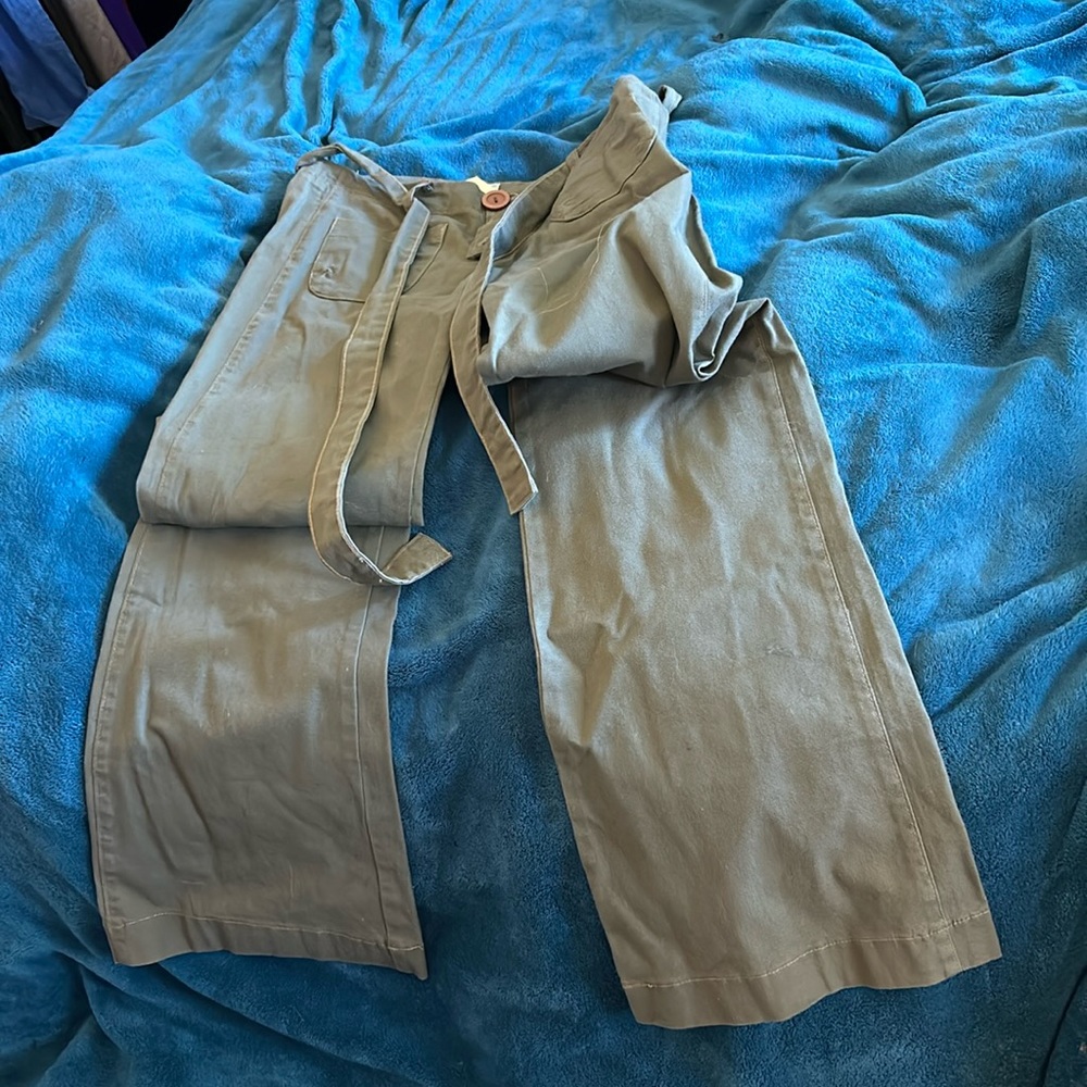 Body Central cargo pants